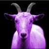 purplegoatwares purplegoatwares